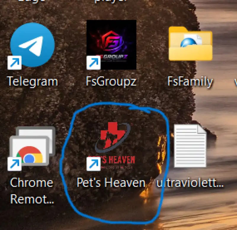 🚀 Pet's Heaven Windows Desktop App Launched! Mac & Linux Versions Coming Soon
